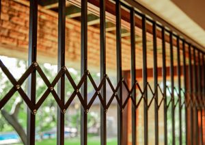 trellidor-doors-project-3